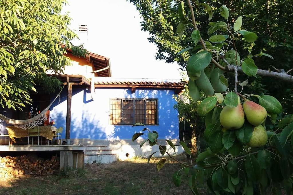 Вилла Country House Tra Lago E Mare A Sud Di Roma Campoleone Экстерьер фото
